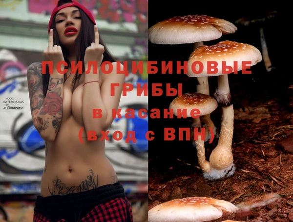 марки lsd Белокуриха