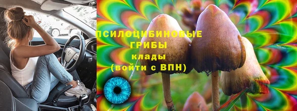 spice Беломорск