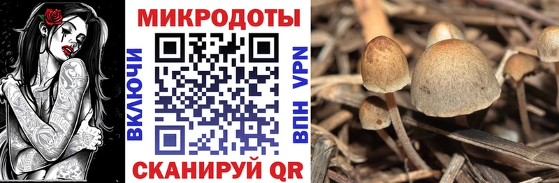Псилоцибиновые грибы Psilocybine cubensis  blacksprut маркетплейс  Верея 